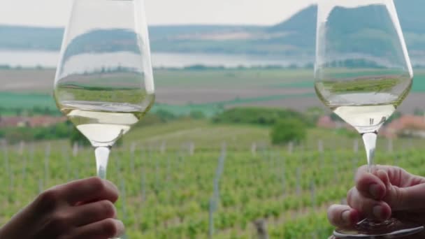 Paar Geproost Glazen Witte Wijn Samen Tegen Wijngaard Achtergrond Twee — Stockvideo