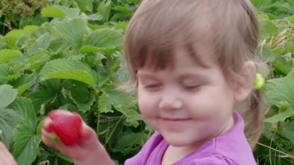 Menina Feliz Cobrindo Olhos Com Morango Jardim Vermelho Maduro Folhas — Vídeo de Stock