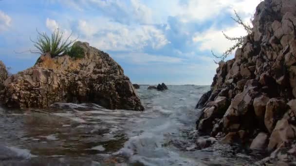 Gegenwärtige Meereswellen Mit Meeresströmung Spülen Felsige Küste Mit Pflanzen Bei — Stockvideo
