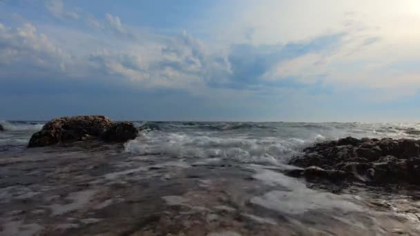 Bird Flying Incoming Sea Waves Foam Washing Rocky Shore Gull — Stock Video