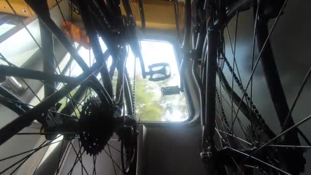 Dos Bicicletas Colgando Estante Tren Movimiento Árboles Verdes Luz Brillante — Vídeo de stock