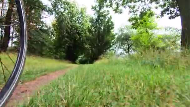 Bicycle Riding Forest Bike Lane Green Trees Grass Yellow Leaves — Stock Video