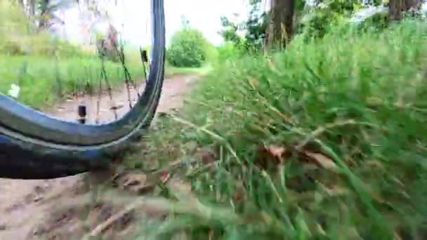 Bicicletta Pista Ciclabile Forestale Alberi Verdi Erba Rare Foglie Gialle — Video Stock