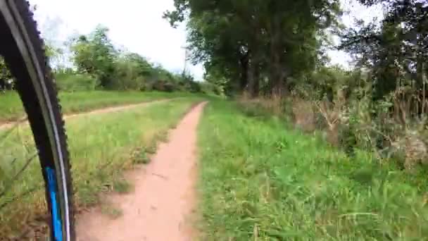 緑の木や送電線の電柱の近くの自転車レーンに乗る自転車 右下のショット 田舎道でのサイクリング 秋のパス上の移動サイクルのホイール グリーントラベルコンセプト グリーン輸送での通勤 — ストック動画