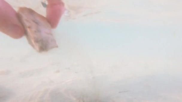 Pierre prise à la main du lit de la rivière sous l'eau, pied marchant sur le sable dans l'eau trouble, bulles d'air, sable remuant, coup de main. Étapes dans l'eau boueuse, nuage sale de boue flottante sous l'eau, marchant par peu profond. Promenade sur fond boueux dans le lac 