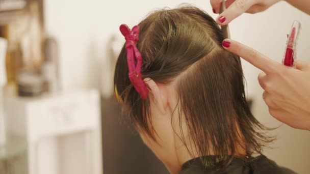 Kuaför Güzellik Salonda Saç Kesimi Için Kuaför Ayrılık Tarama Kadının — Stok video