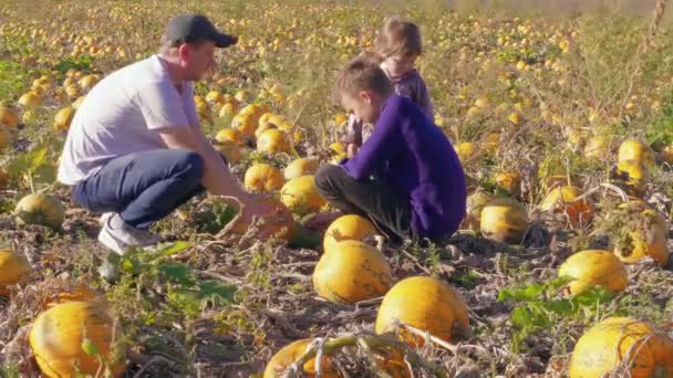 Οικογένεια Στο Χωράφι Κολοκύθες Άνθρωπος Που Δείχνει Στα Παιδιά Λαχανικά — Αρχείο Βίντεο