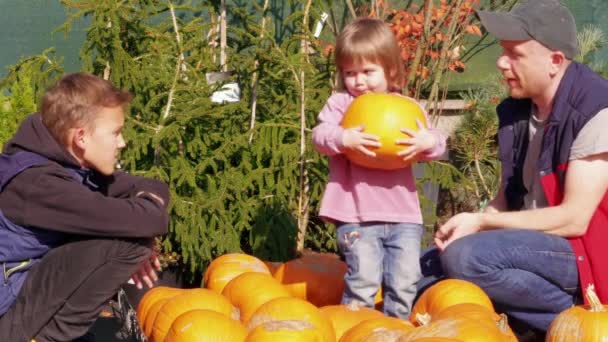 Far Och Barn Väljer Pumpa Har Kul Trädgården Familjen Väljer — Stockvideo