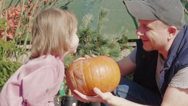 Отец Дочь Выбирают Тыкву Веселясь Семья Рынке Выбирает Овощи Хэллоуин — стоковое видео