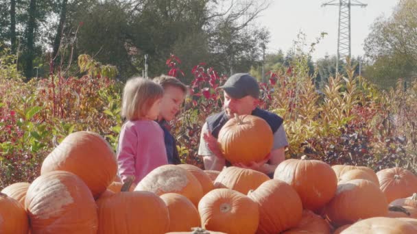 Familia Eligiendo Calabaza Para Halloween Padre Hijos Cerca Del Parche — Vídeos de Stock