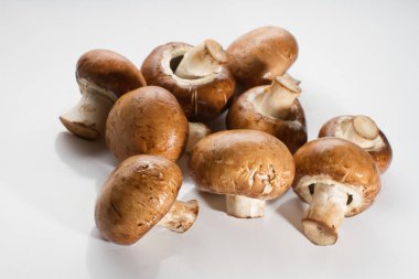 Taze kahverengi champignon yığını üzerinde izole beyaz arka plan mantar
