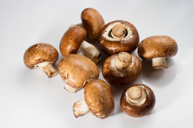 Taze kahverengi champignon yığını üzerinde izole beyaz arka plan mantar