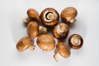 Taze kahverengi champignon yığını üzerinde izole beyaz arka plan mantar