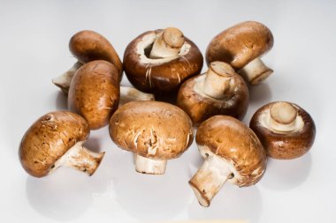 Taze kahverengi champignon yığını üzerinde izole beyaz arka plan mantar