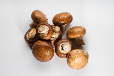 Taze kahverengi champignon yığını üzerinde izole beyaz arka plan mantar