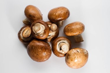 Taze kahverengi champignon yığını üzerinde izole beyaz arka plan mantar