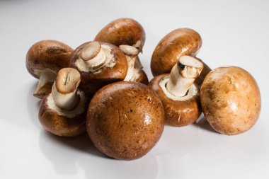 Taze kahverengi champignon yığını üzerinde izole beyaz arka plan mantar