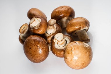 Taze kahverengi champignon yığını üzerinde izole beyaz arka plan mantar