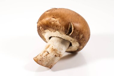 Beyaz arka plan üzerinde izole tek taze kahverengi champignon mantar