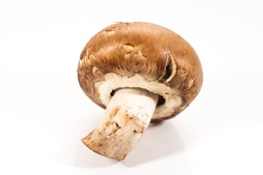Beyaz arka plan üzerinde izole tek taze kahverengi champignon mantar