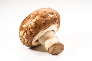 Beyaz arka plan üzerinde izole tek taze kahverengi champignon mantar