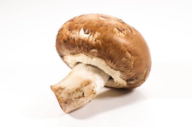 Beyaz arka plan üzerinde izole tek taze kahverengi champignon mantar