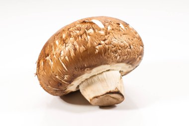 Beyaz arka plan üzerinde izole tek taze kahverengi champignon mantar
