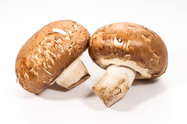 Taze kahverengi champignon çifti üzerinde izole beyaz arka plan mantar