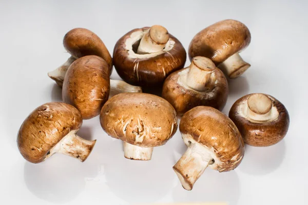 Taze kahverengi champignon yığını üzerinde izole beyaz arka plan mantar