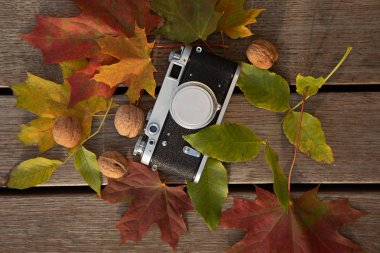 Ahşap arka plan üzerinde vintage rangefinder kamera, yaprak lar ve fındık ile natürmort sonbahar ruh hali resmi