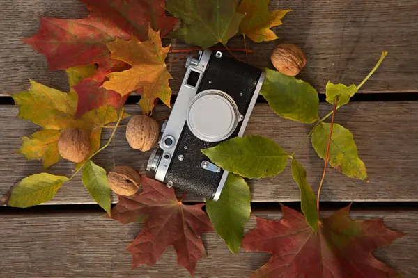 Still Life Autumn Mood Picture Vintage Rangefinder Camera Leaves Nuts — Stock Photo, Image