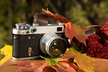 Sonbahar ruh hali natürmort: vintage rangefinder kamera, kahverengi deri kılıf, kırmızı eşarp ve ahşap korkuluklar üzerinde döşeme yaprakları