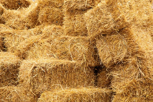 Rectangular yellow packs of hay on background — Stock Photo, Image