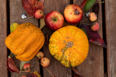 Ahşap bankta bir grup sonbahar sebzesi