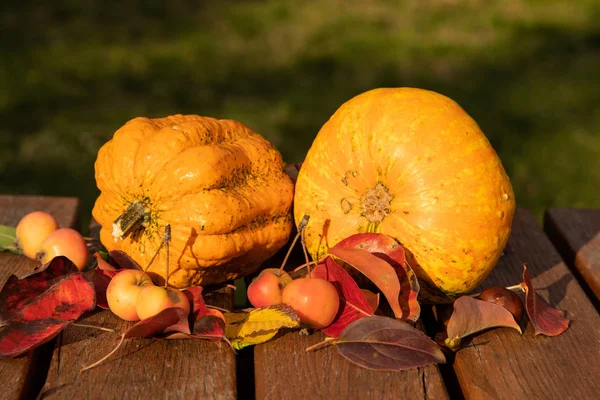 Pumpar, äpplen och höstlöv — Stockfoto