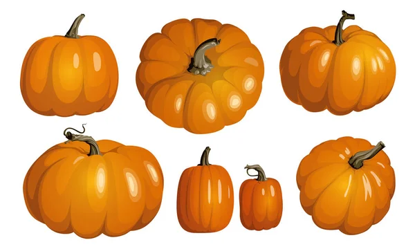 Oranje pompoen geïsoleerd op wit. Realistische vectorpompoenen. Set van oranje pompoenen voor Halloween en Thanksgiving decor. — Stockvector