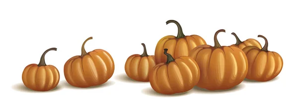 Orange pumpkin isolated on white and on black. Realistic vector pumpkins. — Stock Vector