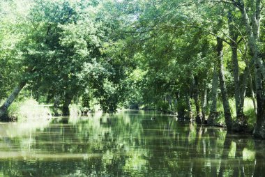 Fransa'da bir nehir yakın bir sessizlik süresi