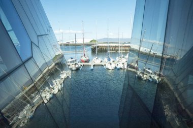 Harpa, İzlanda Operası 'nın tarihi 1980' lerin başına dayanıyor. Bu yüzden, en azından asırlık gelenekleri olan Avrupa 'nın uzun zamandır devam eden opera binalarının standartlarına göre oldukça genç..  