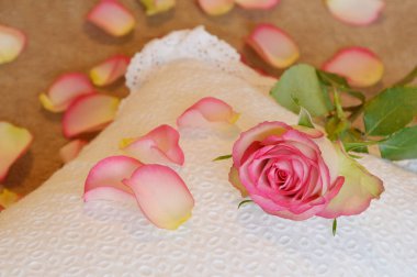 yatak ve yastık pembe gül