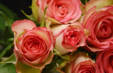 ahşap table.pink ve beyaz çiçek (yumuşak odak, Mercek Bulanıklığı özel bir gün için pembe ve beyaz güller)