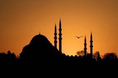 Süleymaniye Camii / Süleymaniye Camii