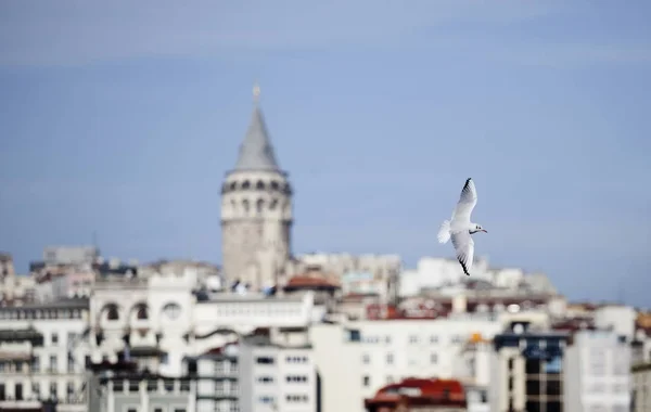 Galata Kulesi, İstanbul, Türkiye