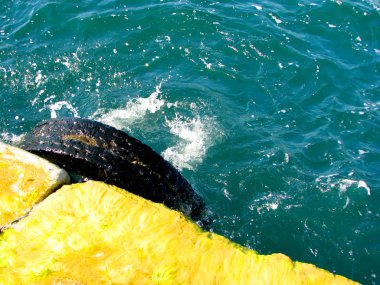 deniz kenarı, İstanbul, Türkiye, liman