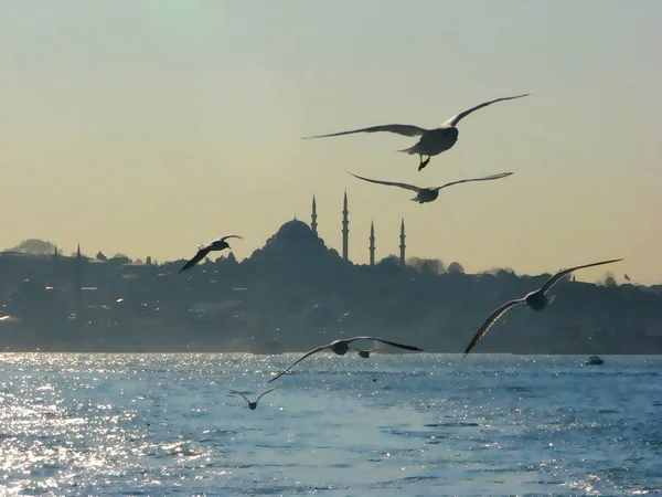 Panimic View Istanbul Fashphorus Istanbul Boaz Suleymaniye — стоковое фото