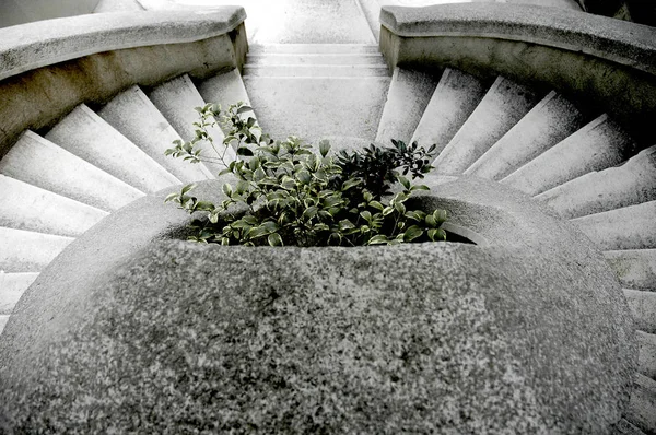 Komve merdivenleri, komut merdivenleri, istanbul, hindi