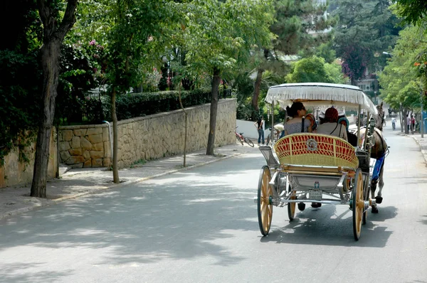 Prenses Adası, byk kada, İstanbul, Türkiye
