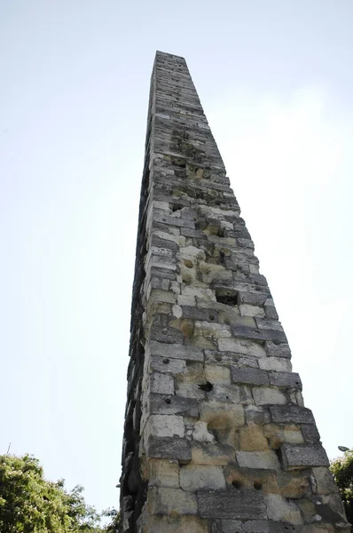 orme dikilitas, İstanbul, Türkiye