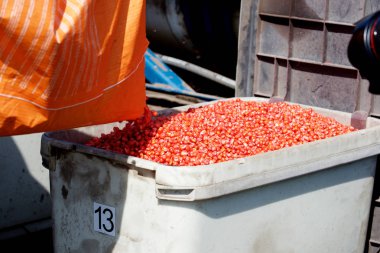 Kırmızı ve beyaz yiyeceğe yakın durun.