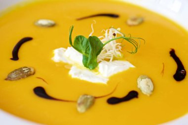 Sebzeli sebze çorbası ve beyaz arka planda bitkiler.